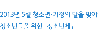여성가족부와 한국청소년활동진흥원은 2013년 5월 청소년·가정의 달을 맞아 청소년들을 위한 「청소년체」를 개발, 무료로 보급하고 있습니다.